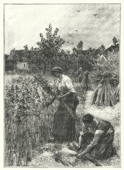 Le Recolte Du Chanvre（雕版画 作者 法语学校