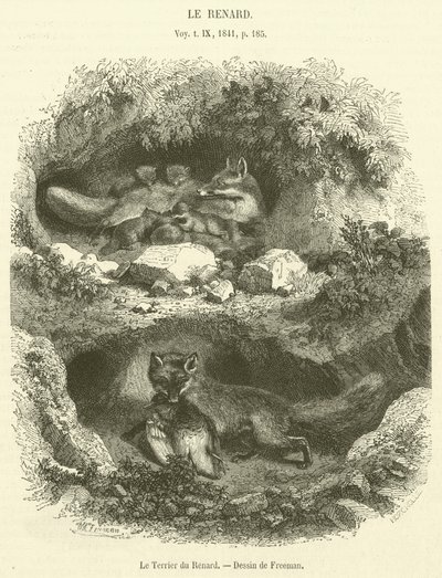 Le Terrier du Renard (雕刻) 作者 法语学校