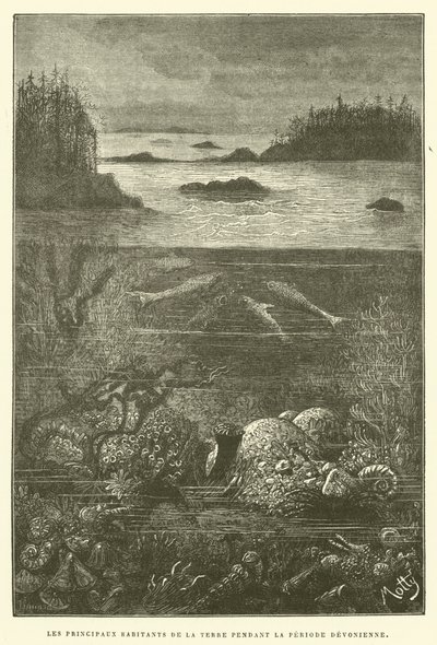 泥盆纪时期地球上的主要居民（雕版画 作者 法语学校