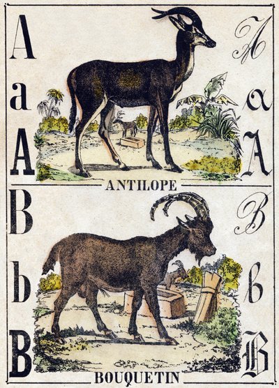 字母 A 羚羊； B 山羊。 雕刻在“”Alphabet des animaux sauvages””。 第 9 个系列。 埃皮纳勒 (Epinal)、佩勒林 (Pellerin) 的图像，大约 1870 年。木版画，钢印。 16 页。 昏暗：20 x 15 厘米。 私人收藏 作者 法语学校