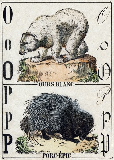 Letter O Bear; P Pork-epic (Pig epic). Engraving in “” Alphabet des animaux sauvages””. 9th Serie. Imagery of Epinal, Pellerin, printer-publisher, circa 1870. Engravings on wood, stencilled. 16 pages. Dim: 20 x 15 cm. Private Collection 作者 法语学校