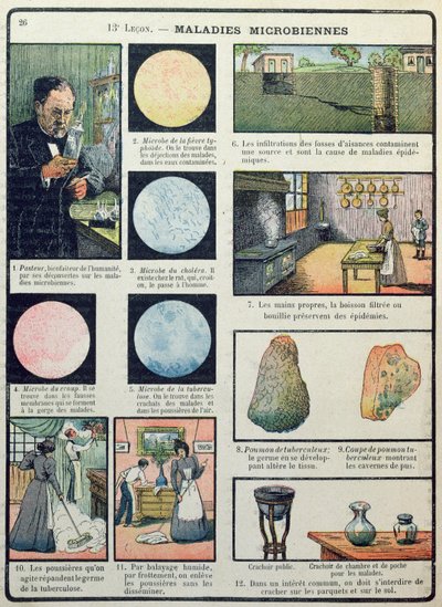 Louis Pasteur（1822-95）和细菌性疾病，来自巴黎的物理和自然科学，1908年 作者 法语学校