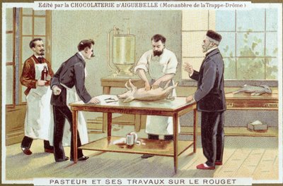 Louis Pasteur（1822-95）致力于调查麻疹，为Chocolaterie dAiguebelle制作广告卡 作者 法语学校