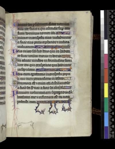 MS 300 f.68r，对开，来自法国伊莎贝拉的诗篇和时光，巴黎，约1225年-70年 作者 法语学校