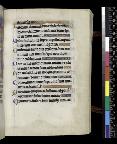 MS 300 f.71r, from the Psalter and Hours of Isabella of France, Paris, c.1265-70 (pen & ink and tempera on parchment) 作者 法语学校