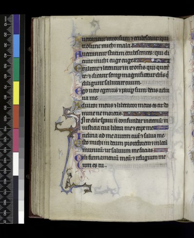MS 300 f.73v，来自法国伊莎贝拉的诗篇和时光，巴黎，c.1265-70 作者 法语学校