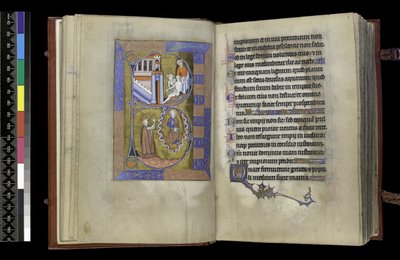 MS 300 f.XIII-1r，来自法国伊莎贝拉的诗篇和时辰，巴黎，约 1265-70 年（羊皮纸上的钢笔墨水和蛋彩画） 作者 法语学校