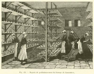 Magasin de perfectionnement du fromage de Camembert (engraving) 作者 法语学校