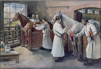 从马血液制造白喉血清，来自Les Animaux，c.1900 作者 法语学校