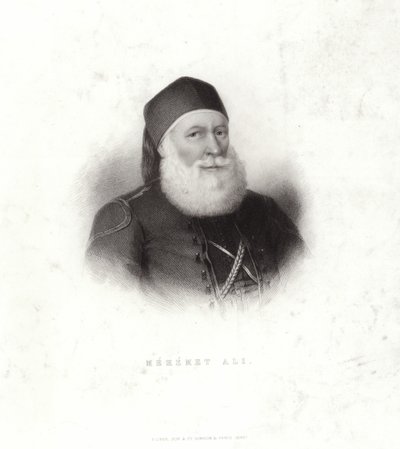Mehemet Ali 作者 法语学校