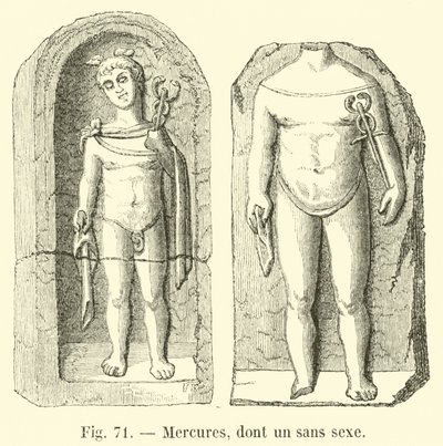 Mercures，包括一个没有性行为的人 作者 法语学校