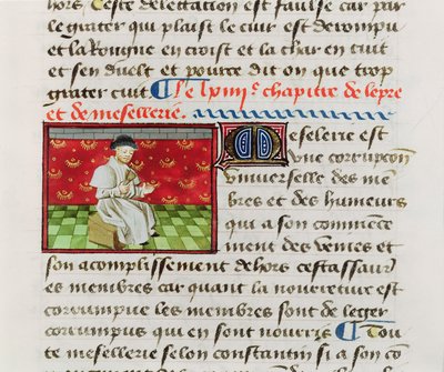 Ms.Fr.22532 Fol.118 Leper，来自Barthelemy lEnglais的The Book of Things 作者 法语学校