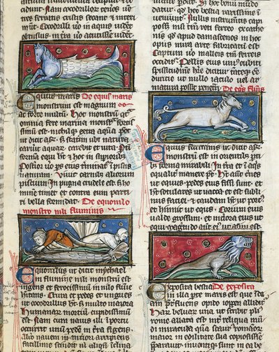 Ms 320 Fol.115r Sea Monsters，来自 Thomas van Cantimpre 的“De Natura rerum”（1201-72）（牛皮纸） 作者 法语学校