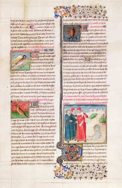 399年第299号来自Barthelemy l&39;Anglais的“Livre des Proprietes des Choses”中的乌龟，戴胜和蝙蝠的属性 作者 法语学校