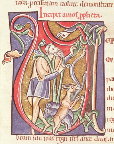 Ms 3 fol.234v历史上最初的V描绘了Amos，来自Saint-Sulpice de Bourges圣经 作者 法语学校