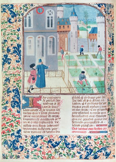 5064 f.151v女士花园，来自Pietro de Crescenzi的Le Livre des Prouffitz Champestres的插图（1230-132021） 作者 法语学校