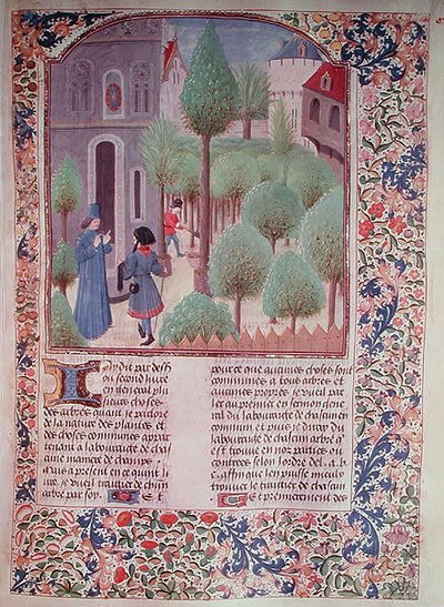 5064 fol.105r女士种植树木，来自Pietro de Crescenzi的Livre des Prouffitz Champestres（1230-132021） 作者 法语学校