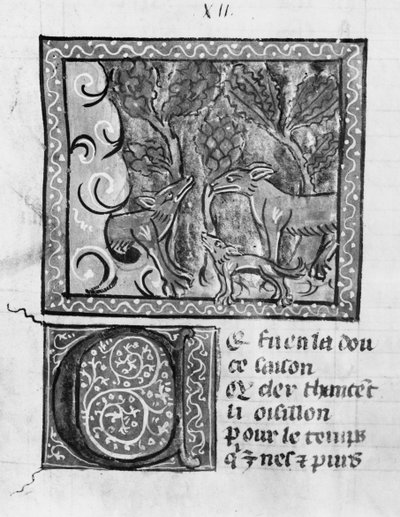 1580年女士来自Le Roman de Renart的狐狸，狼和狗 作者 法语学校
