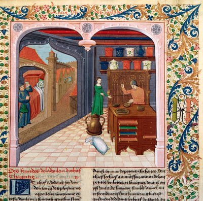Dr 218 218 fol.111一名患者在他的床上和药剂师准备药物，来自Barthelemy lEnglish的物联书 作者 法语学校