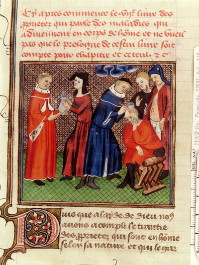 Fr 22531 Fol.115尿液检查和伤口愈合，来自Le Livre des Proprietes des Choses by Barthelemy lAnglais，c.1410-15 作者 法语学校
