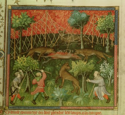 616号女士，第11段，狼在网上的帮助下，来自Livre de la Chasse的Gaston Phebus de Foix（1331-91） 作者 法语学校