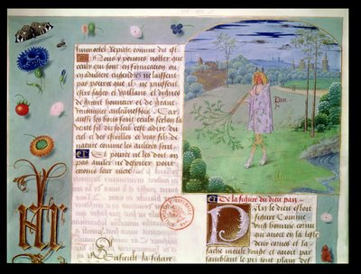 女士Fr 9197 fol.187 Pan，来自Book of Eschecs DAmour 作者 法语学校