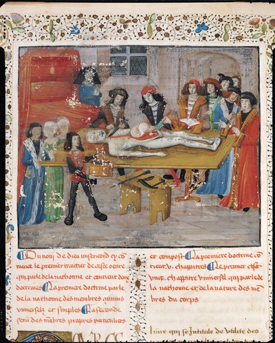 H 184 184 fol.14v蒙彼利埃医学院解剖课，来自&39;La Grande Chirurgie&39;的Guy de Chauliac，1363 作者 法语学校