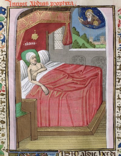 H 7 fol.110v欧巴底亚的异象，来自Jean XXII的圣经 作者 法语学校