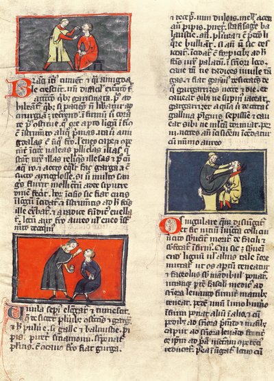 H 89 fol.16v牙科手术，来自Rogier de Salerne的“外科手术” 作者 法语学校