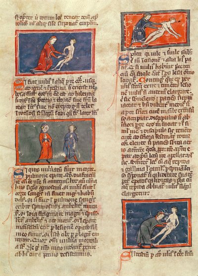 女士H 89 fol.21v来自Rogier de Salerne的“外科手术”版本的解剖数字 作者 法语学校