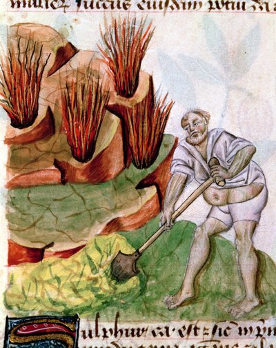 Lat 993 L.9.28 f.123v女士寻找来自Dioscorides De Herbis的硫磺 作者 法语学校