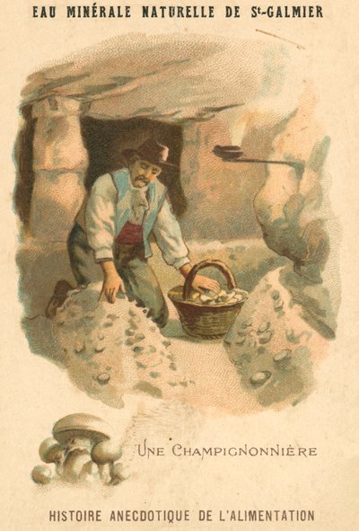 蘑菇种植者（chromolitho） 作者 法语学校