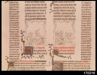 诺亚在葡萄园和诺亚的醉酒，来自于让西的圣经，c.1355 作者 法语学校
