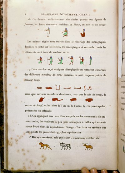 关于某些象形文字着色的注释，来自Grammaire Egyptienne，Jean Francois Champollion（1790-1832）1836 作者 法语学校