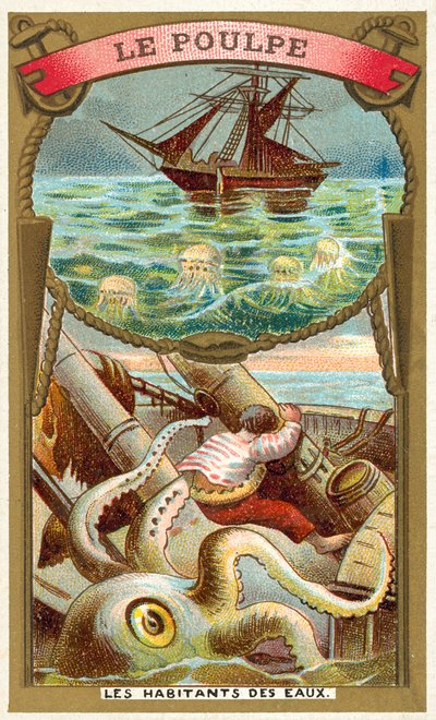 Octopus (chromolitho) 作者 法语学校