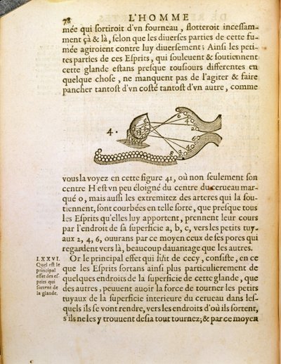 光学图，来自Rene Descartes的De Homine Figuris（1596-1650）于1662年在海牙出版 作者 法语学校