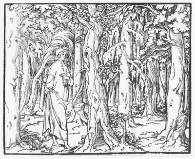 1546年，弗朗切斯科·科隆纳（Francesco Colonna）撰写的“舆论之声” 作者 法语学校