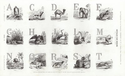 来自 Vignettes Typographiques 的页面（雕刻） 作者 法语学校