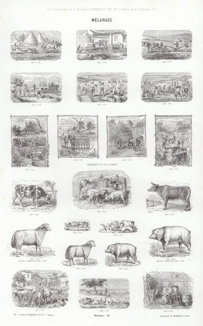 来自 Vignettes Typographiques 的页面（雕刻） 作者 法语学校