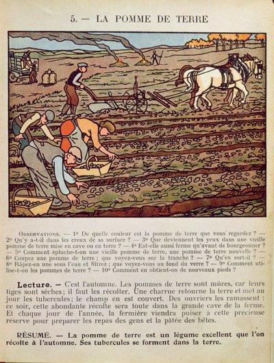来自学校教科书的页面，说明了马铃薯的栽培，c.1910 作者 法语学校