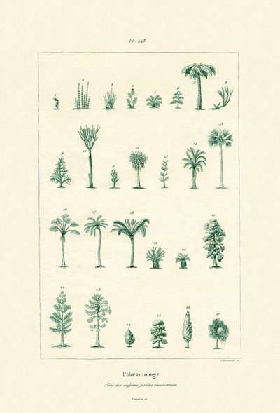 古生物学，1833-39 作者 法语学校