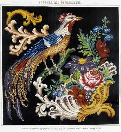 十字绣图案（天堂鸟）--载于《Demiselles杂志》1852年。 作者 法语学校