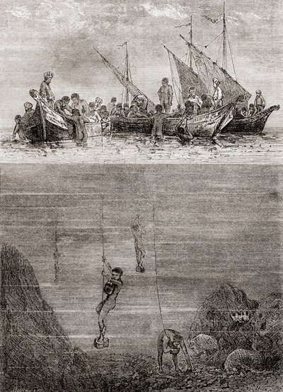 Pearl divers off the coast of the Island of Ceylon in the 18th century, from 