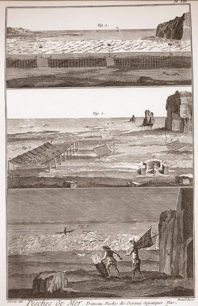 Peche de Mer - Trameau - Waterbird Fishing - “” The Great Encyclopedie, ou Dictionnaire Raisonne des Sciences, des Arts et des Metiers” (Encyclopedia or Dictionary of the Sciences, Arts and Professions) by Denis Diderot (1713-1784) and Jean d