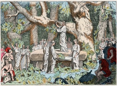 从高勒的德鲁伊那里采摘槲寄生，19世纪末（雕版画）。 作者 法语学校