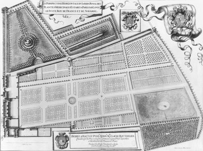 1641年巴黎药用植物皇家园林计划 作者 法语学校