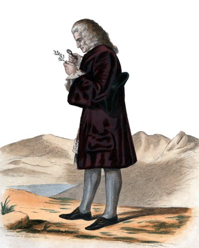Bernard de Jussieu（1699-1777）的肖像，法国博物学家。 作者 法语学校