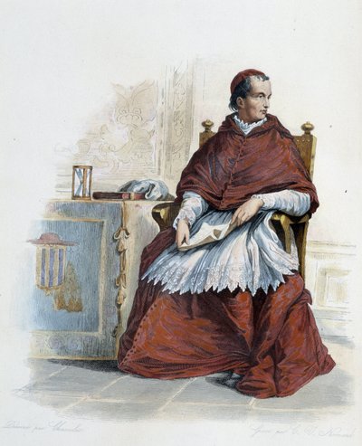 红衣主教 Georges d