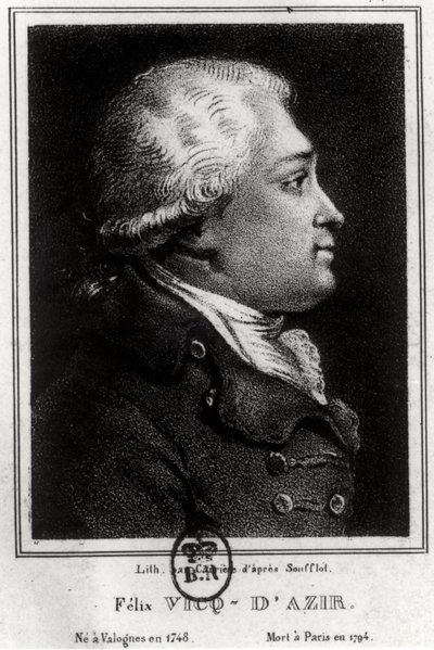 Felix Vicq dAzyr的肖像（1748-94） 作者 法语学校