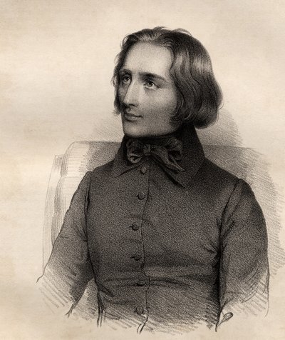 Franz Liszt（1811-86）匈牙利钢琴演奏家和作曲家的肖像 作者 法语学校